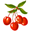 Näita CHERRIES - KIRISD pilti