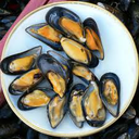 Näita MUSSELS - JÕEKARBID pilti